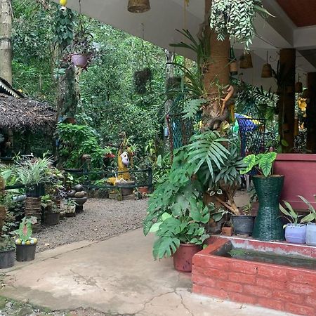 Jungleview Home Stay Idukki Esterno foto