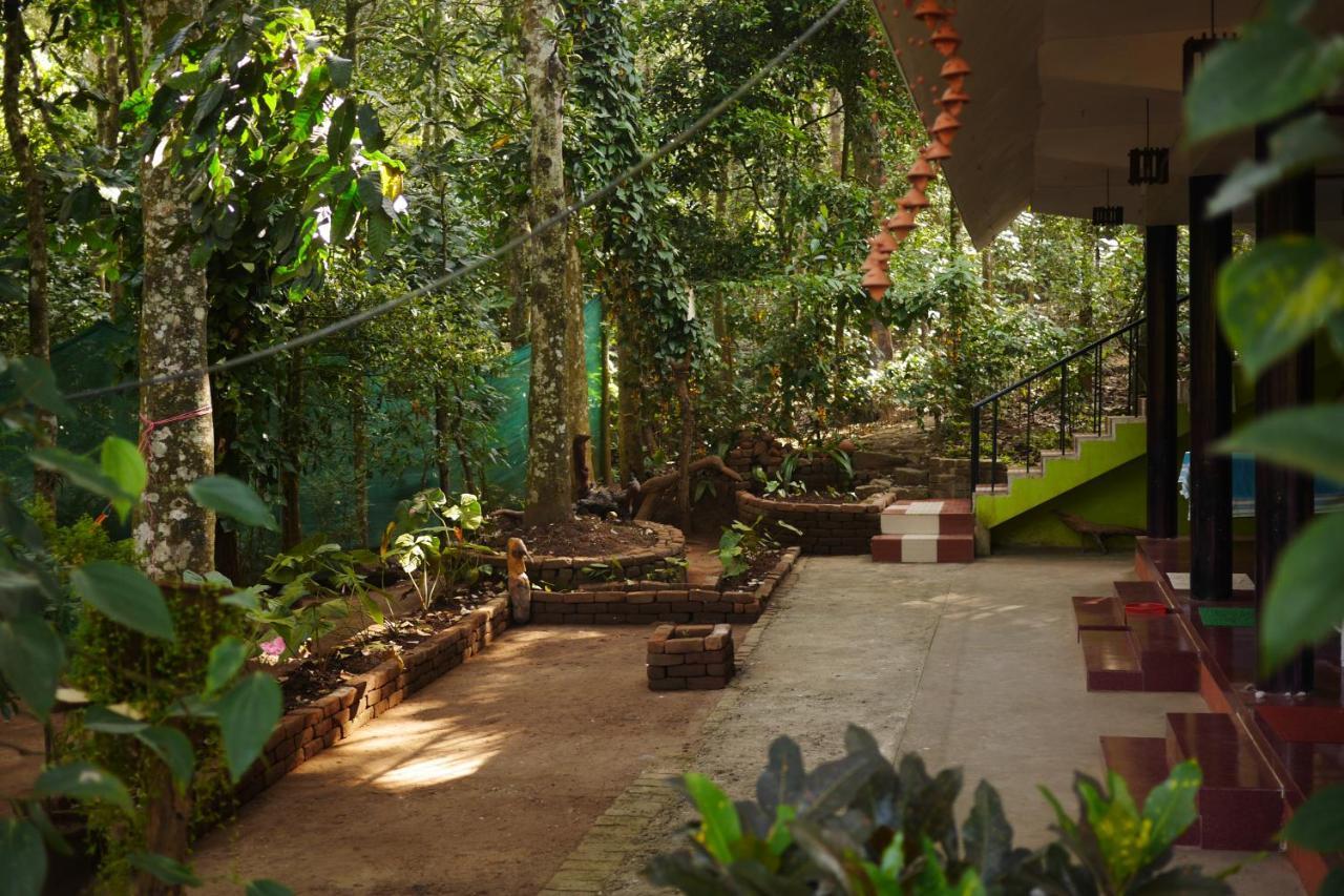 Jungleview Home Stay Idukki Esterno foto