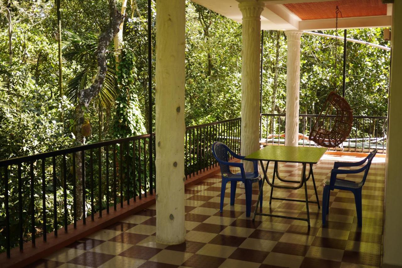 Jungleview Home Stay Idukki Esterno foto