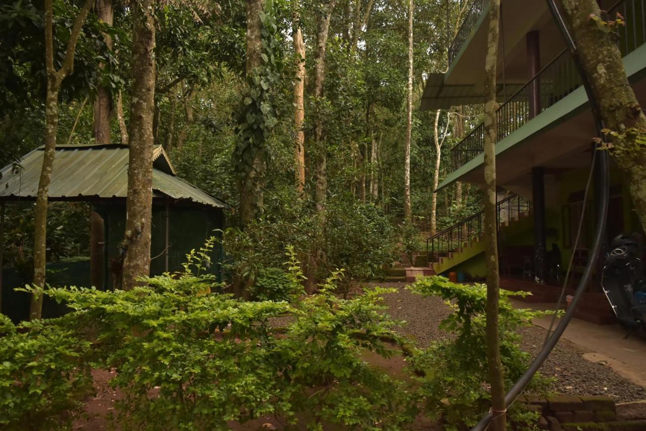 Jungleview Home Stay Idukki Esterno foto