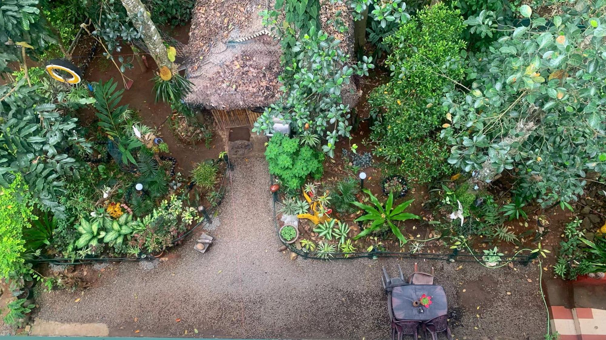 Jungleview Home Stay Idukki Esterno foto