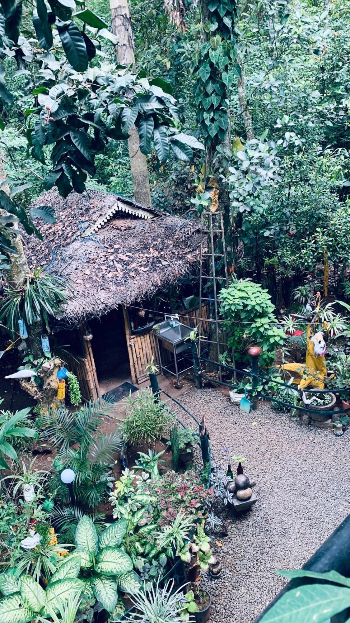 Jungleview Home Stay Idukki Esterno foto