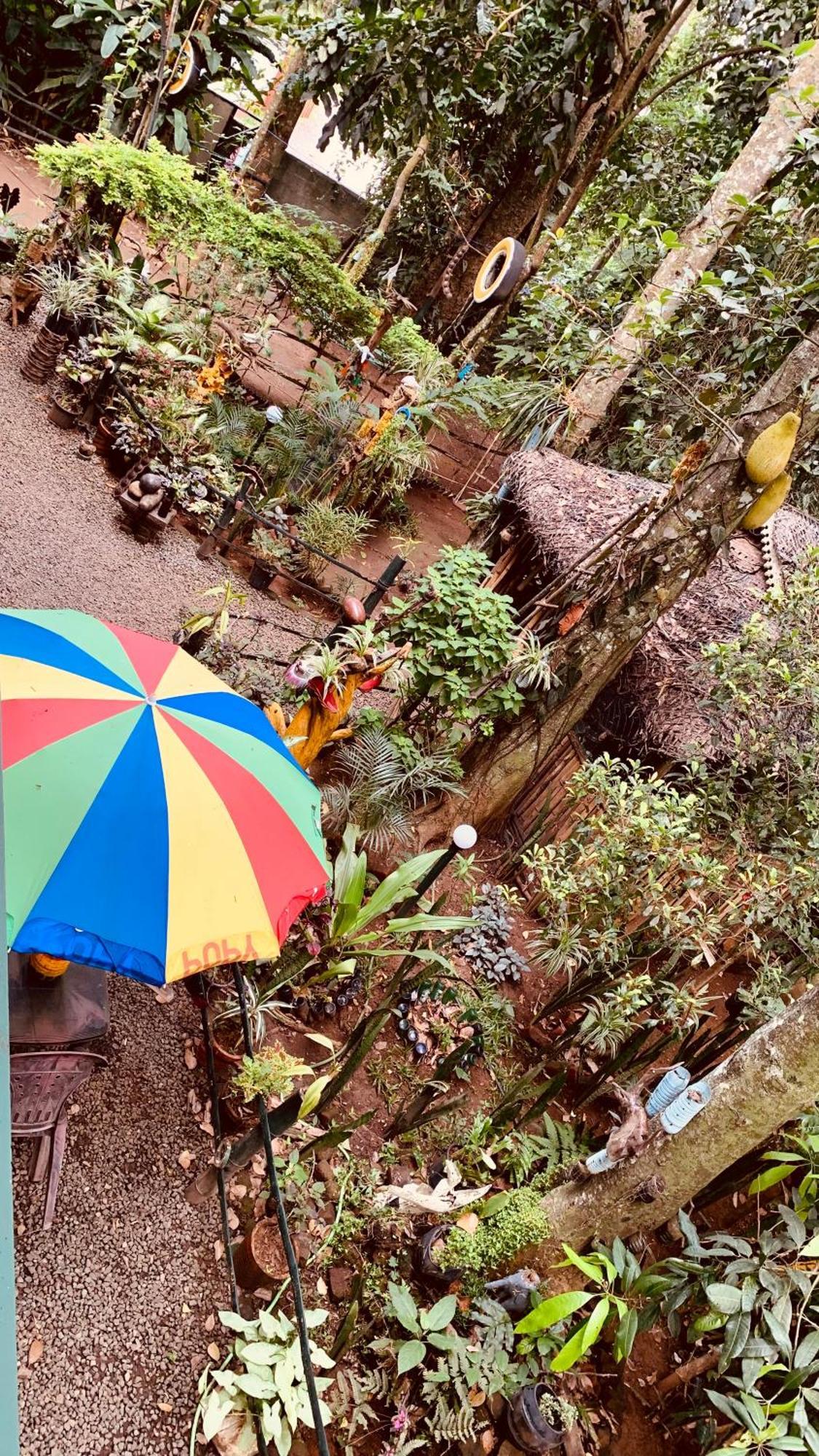Jungleview Home Stay Idukki Esterno foto