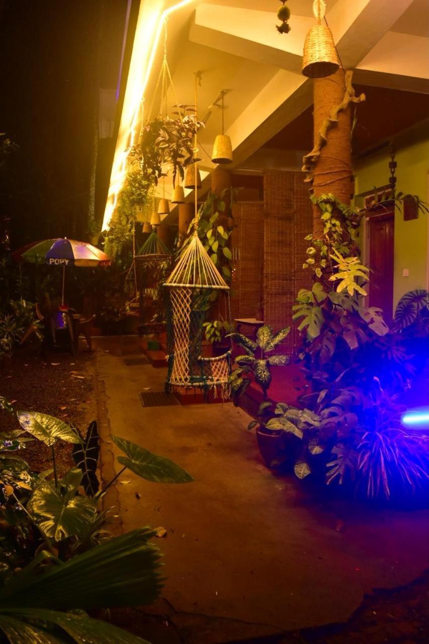Jungleview Home Stay Idukki Esterno foto