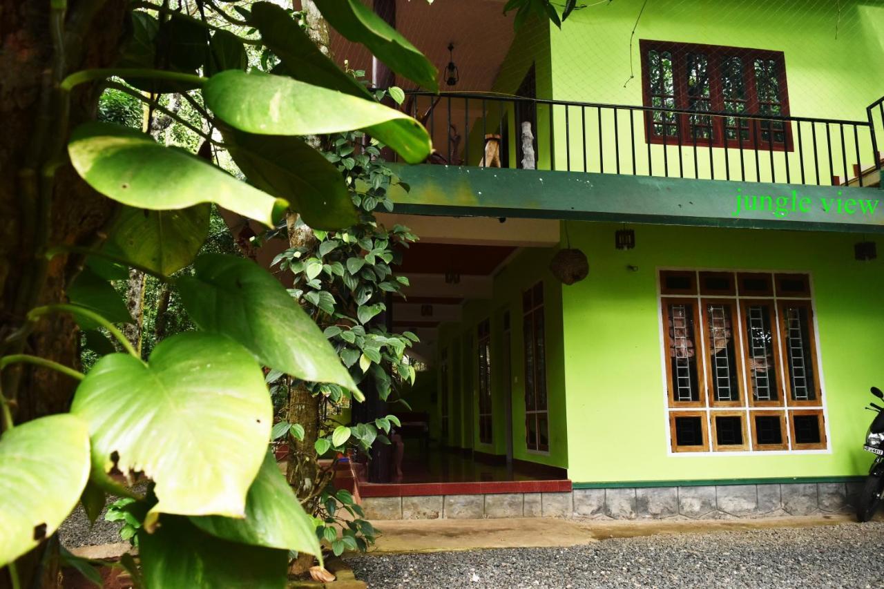 Jungleview Home Stay Idukki Esterno foto