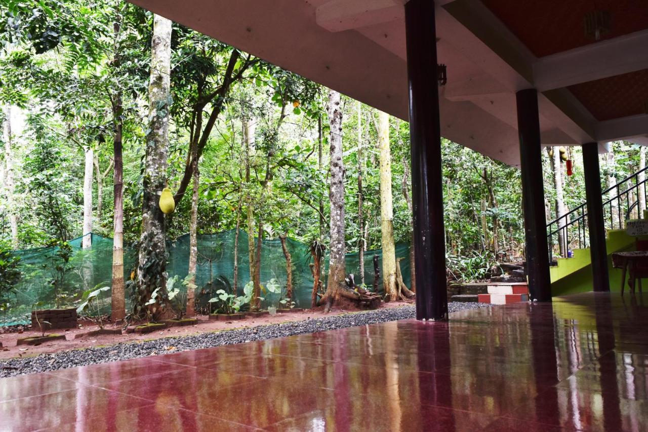 Jungleview Home Stay Idukki Esterno foto
